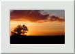 Un soir � Broc�liande