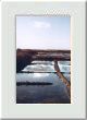 Marais salants de Gu�rande