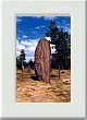 Un menhir Breton